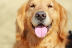 smile