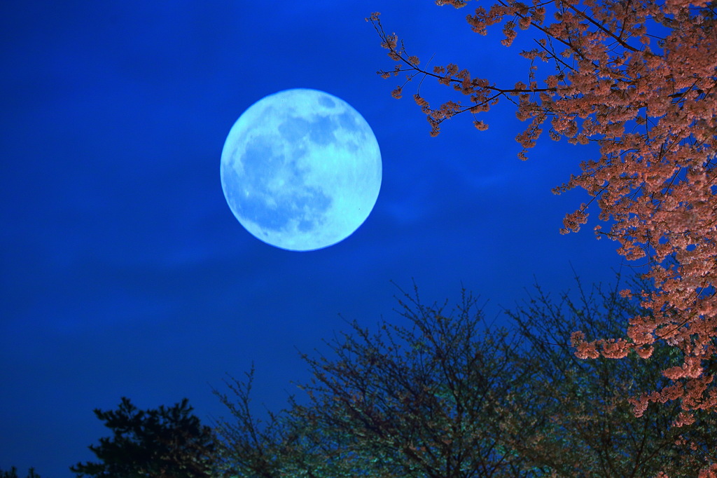 Moon