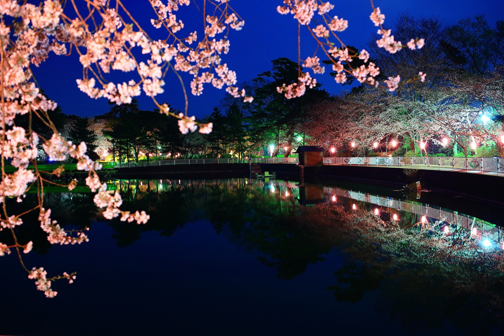 水面の桜