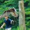 富士花鳥園