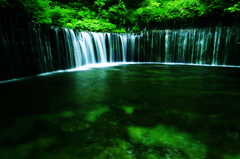 白糸の滝