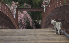 導く君