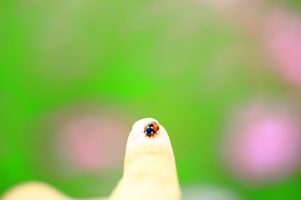 On　My Finger