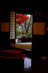 紅葉の見える部屋