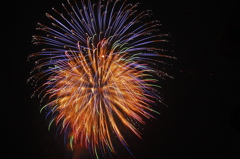 夜に咲く花
