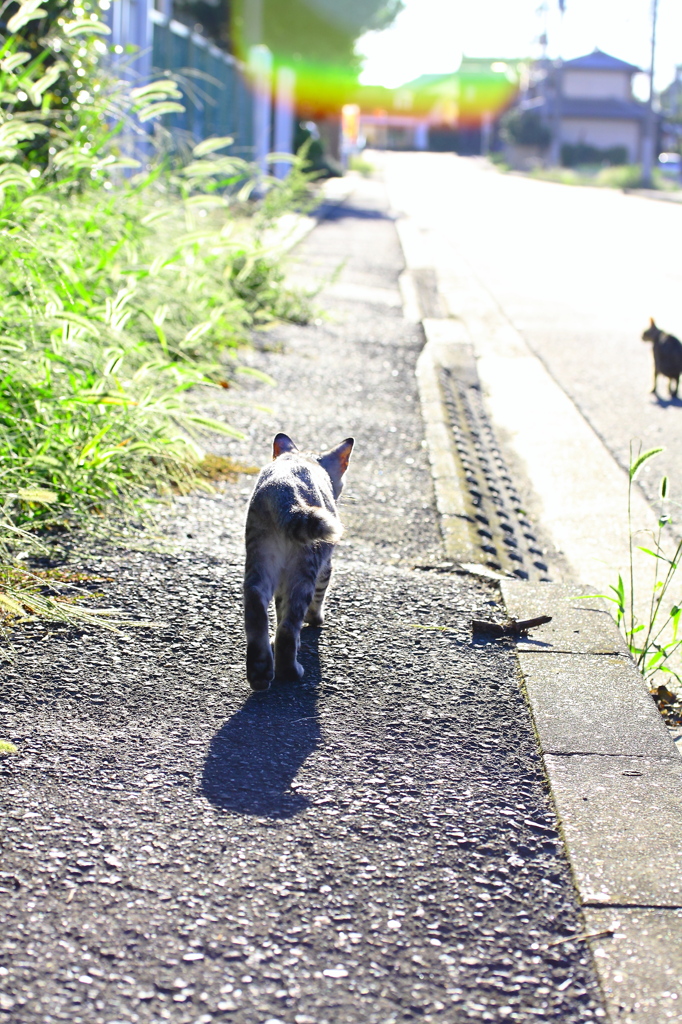 家路