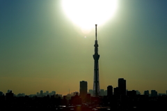 スカイツリー