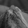 忘れないよ