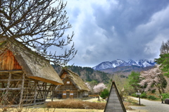 桜と雪と旧家