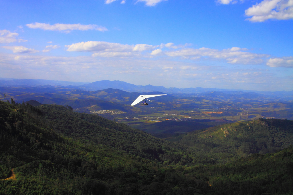 Fly to the blue sky... 