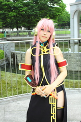 コスコテⅩⅤ