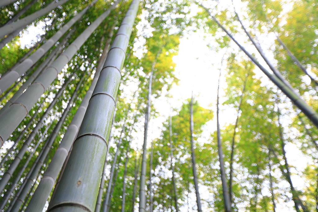 空へ