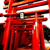 異世界への入り口