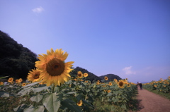 過ぎ去りし夏