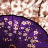 桜と和傘Ⅲ