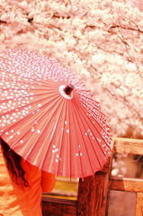 母と桜
