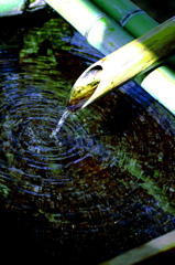 水のみ場？