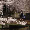 春、新しい一年