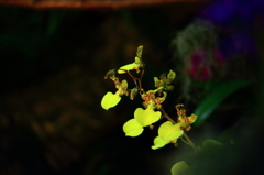 スポットライトの下