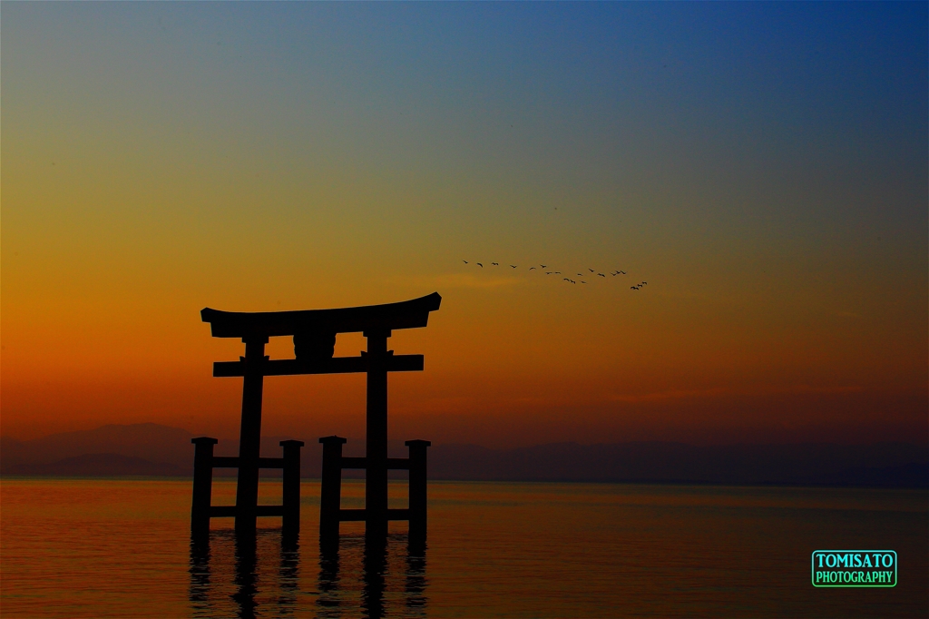 鳥居を超えて
