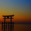 鳥居を超えて