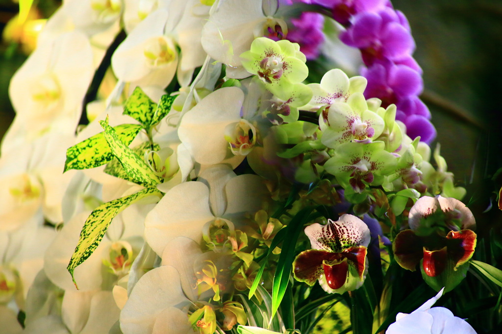 僕らの想い重ねて