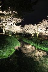 2010　兼六園　桜