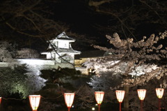 2010　兼六園　桜