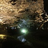2010　兼六園　桜