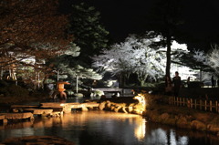 2010　兼六園　桜