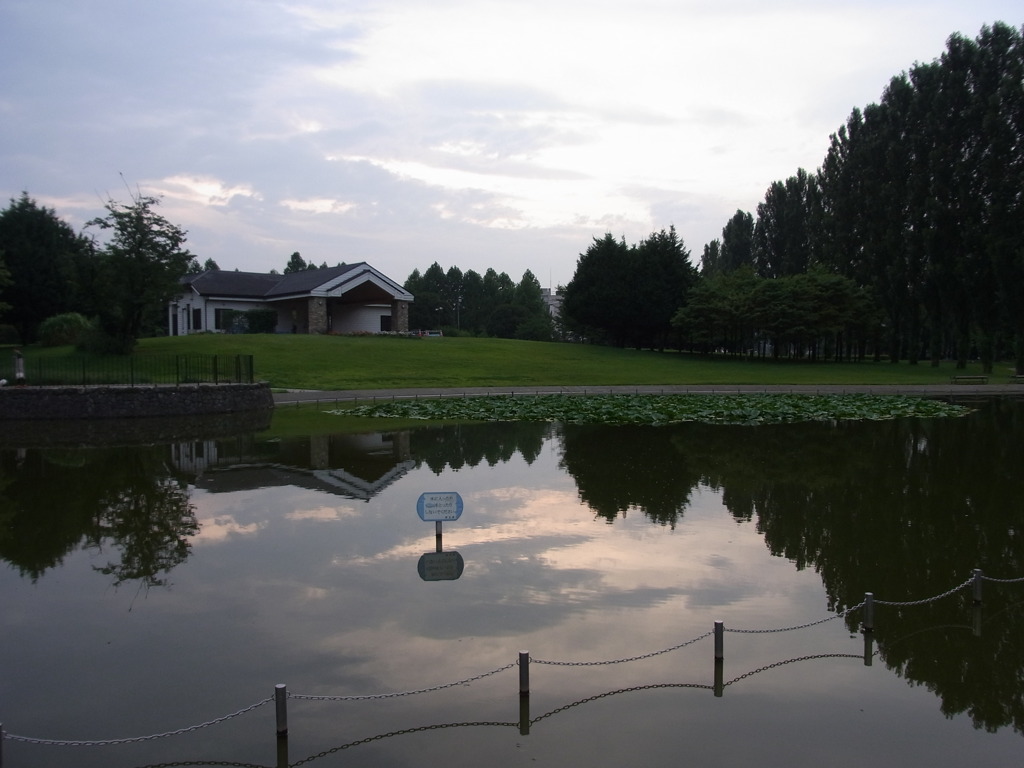 池