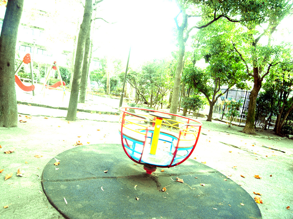 午前の公園