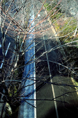 冬の散歩道