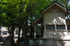 銀杏の木のある神社