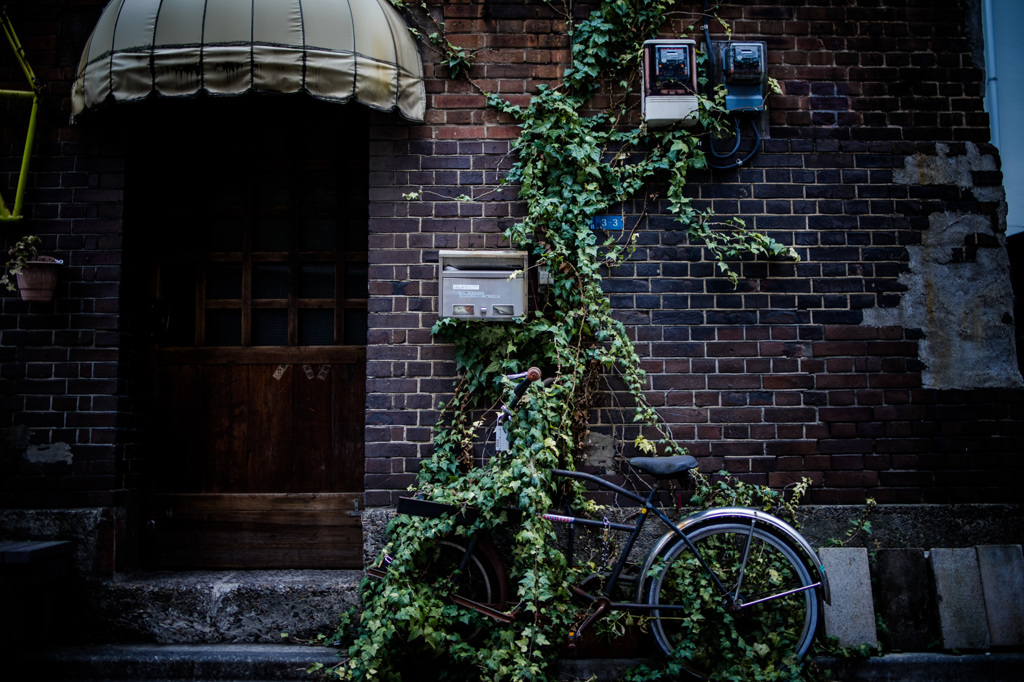 蔦と自転車