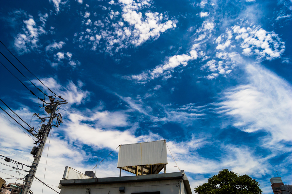 台風後の青空