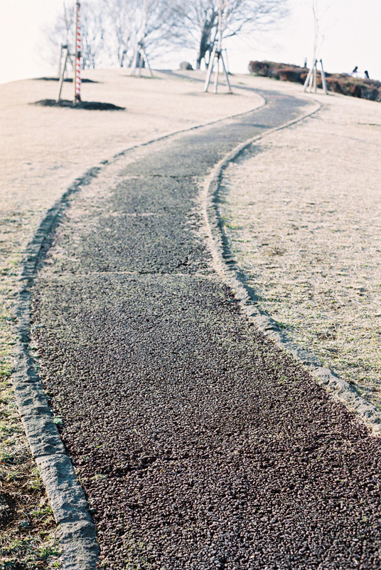 丘の道