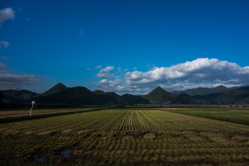 山形の田園風景