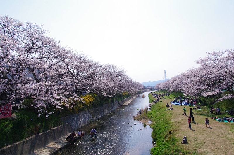 春の風習