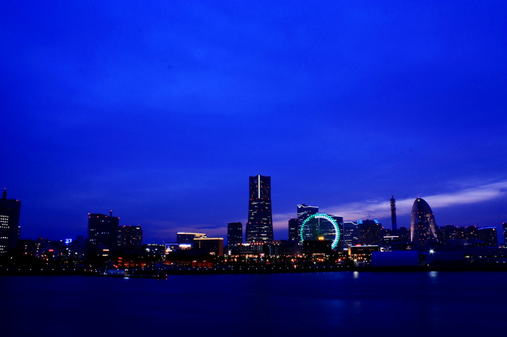 初めての夜景