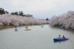 弘前公園　その３
