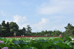 猿賀公園　その３