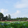 猿賀公園　その３