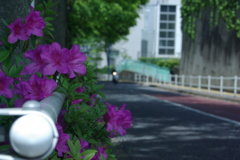 道