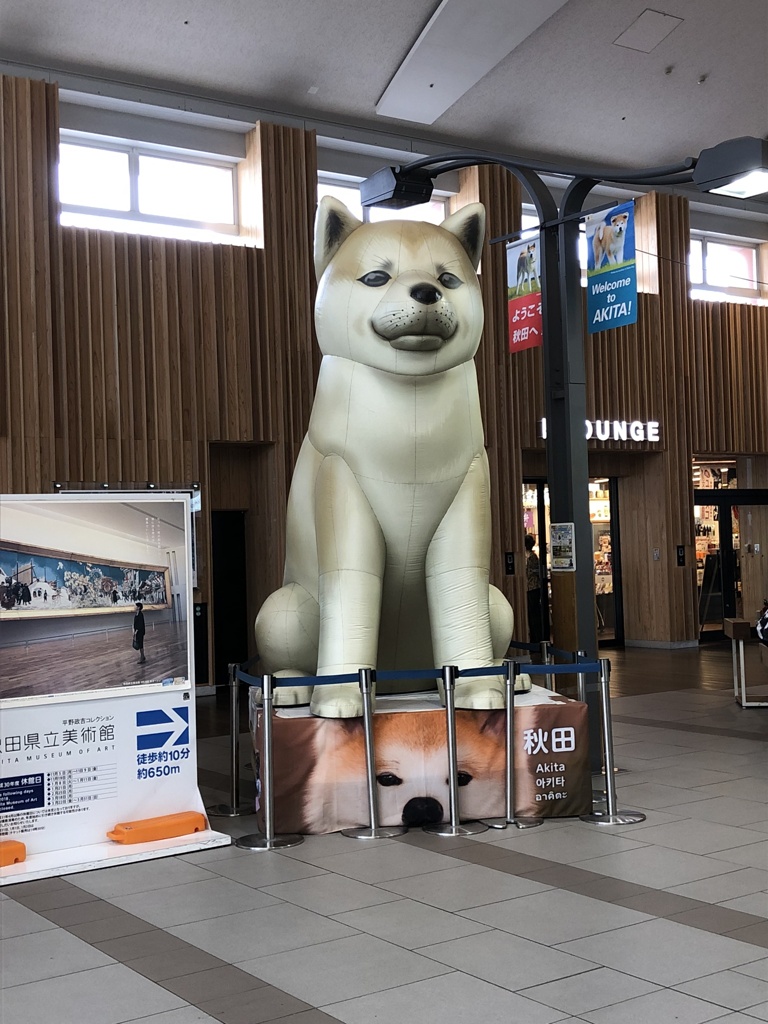 秋田犬