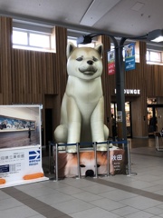 秋田犬
