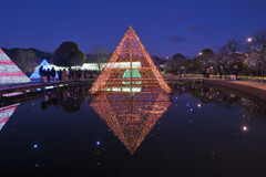 リフレクション