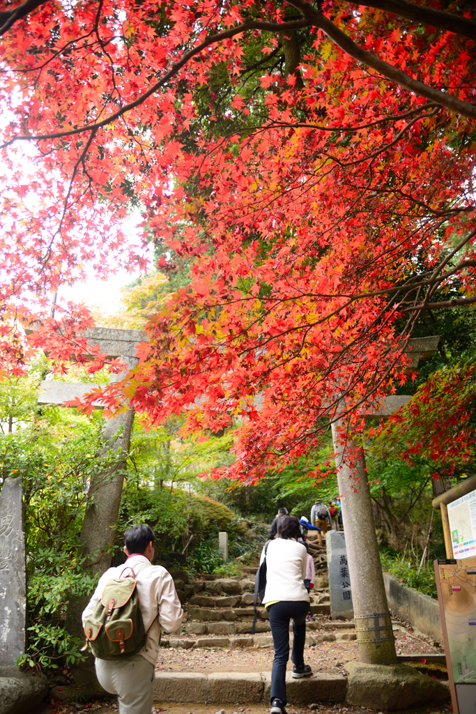 美しき登山道入り口