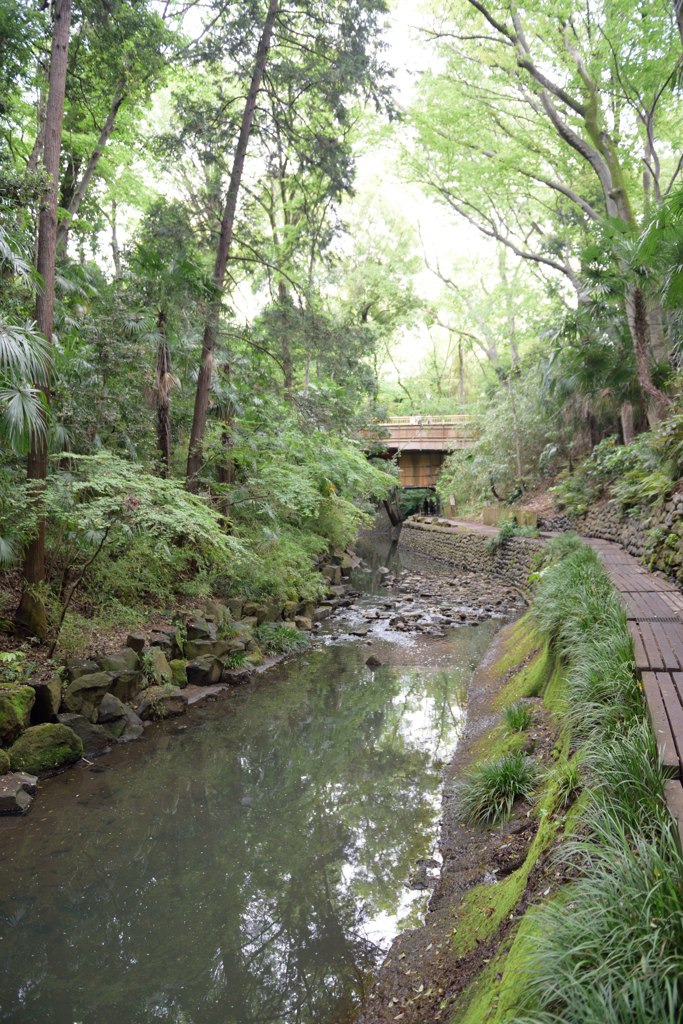 コロナの無い世界