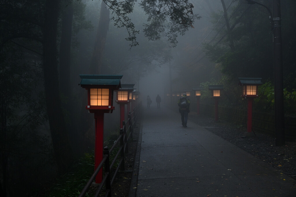 霧の中を歩く